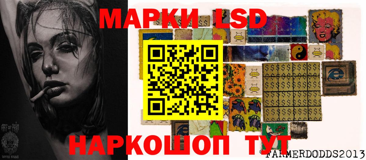 Егорьевск  где купить наркотик  Вход с VPN  Наркотические марки 1500мкг  Наркотические марки 1500мкг 